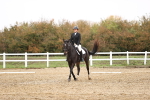 SBM_000761