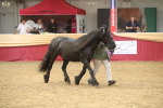 SBM_05657
