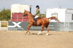 SBM_06883