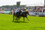 130625-Race 2-Carnation Queen-8646