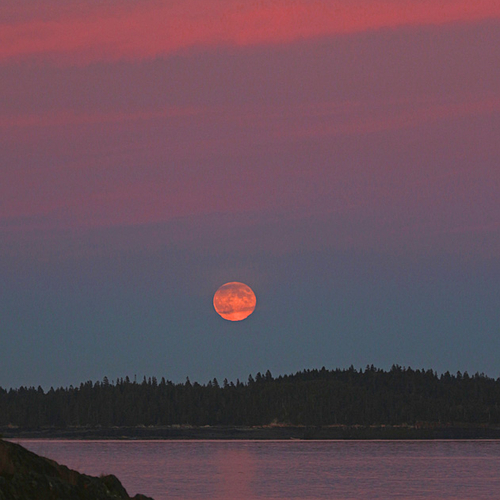 A full harvest moon rises over the Bay of Fundy in Charlotte County, New Brunswick.
