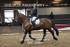 BPP_8964