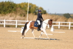 SBM_001561