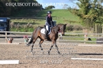BPP_9337