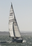 090404 GBR4998 MACAVITY IMG_03