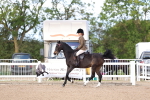 SBM_11212
