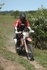 SPXX1154