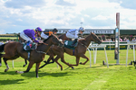 160725-Race 6-Bellarchi-9441