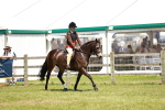 SBM_15748