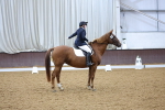 SBM_001381
