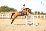 SBM_000856