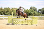 SBM_007954