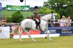 SBM_02565