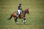 BVHT 140517  IXC -11