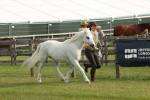 SBM_00505