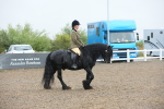 SBM_20536