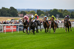 290826-Race 6-Tarmonbarry Kid-7838