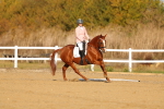 SBM_008790