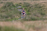 Ingleborough-646
