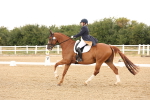 SBM_005947