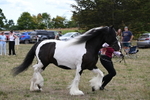 WJ6_5514