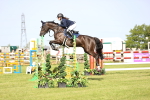 SBM_01335