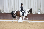 SBM_003549