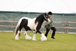 SBM_05956