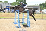 Cls 50 Snr Foxhunter portfolio