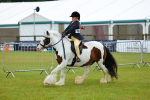 SBM_00949
