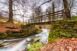 Bridge over Clough Brook, Wildboarclough (1)