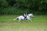 WJ7_8633
