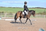BPP_8310