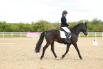SBM_000653
