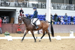 SBM_010185