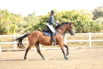 SBM_006277
