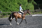 WJ7_9329