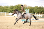 SBM_008415