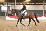BPP_9188