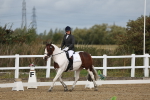 SBM_000993