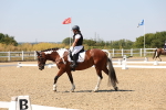 SBM_005627