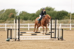 SBM_022957