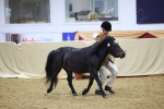 SBM_19679