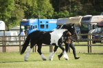 SBM_10399