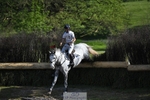 118-HIGH_HOPES_VIKING-Harry_Meade-XC portfolio