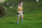 Dovedale Junior-145