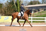 Class 13, Freestyle Music Novice Gold portfolio