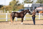 SBM_14035