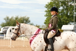 SBM_18273