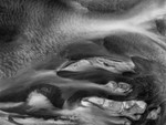 Delta Study 10